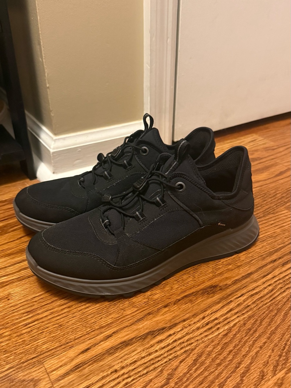 Men's Ecco Hiking Shoes